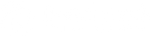 Benchmark Technology Group